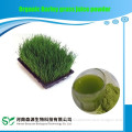 Senyuan Biological Technology Co., Ltd.